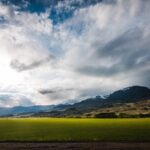 Fashion Finder: Biggest Shows, Parties and Celebrity for New Years